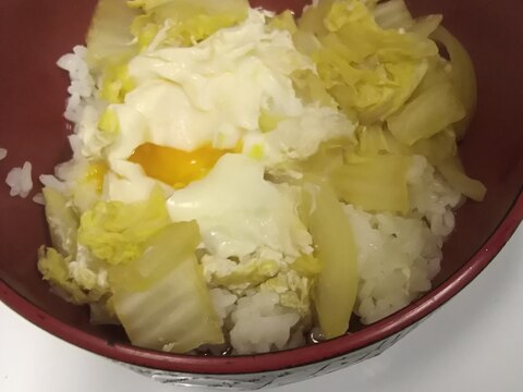 ヘルシー白菜と玉ねぎの玉子丼